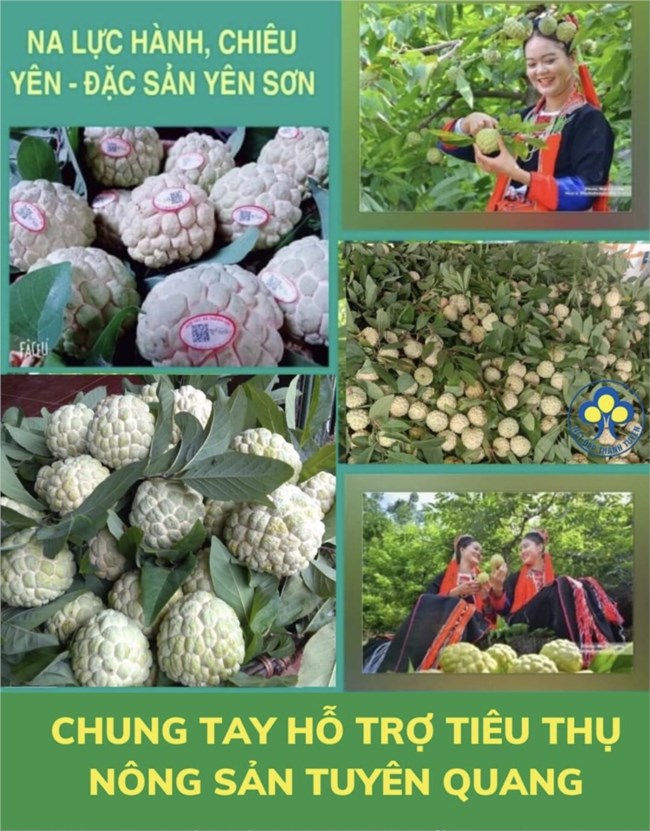 Hội Nông dân các tỉnh phía Bắc hỗ trợ nông dân tiêu thụ nông sản (21+22/08/2021)